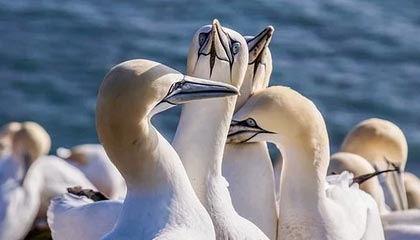 足球在线直播-傅亚雨：变局元年 中超更需系统性公平