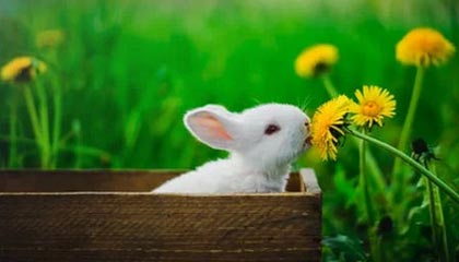 足球在线直播-七年来最差排位赛成绩！湿滑赛道令梅奔措手不及